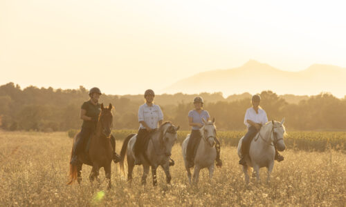 820A8945-Verbessert-NR Kopie